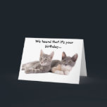 Funny Cat 'Give us Tuna' Geburtstagskarte Karte<br><div class="desc">Eine lustige Geburtstagskarte für einen Katzenliebhaber. Auf dem Cover zwei sich zurücklegende Katzen. Sie sagen: "Wir haben gehört, dass es dein Geburtstag ist... " . Im Inneren steht: "Uns ist es egal. Gib uns Thunfisch." Ein tolles Geschenk für Katzenliebhaber. Foto mit Genehmigung von © Frankreich | Stock Free Images &...</div>