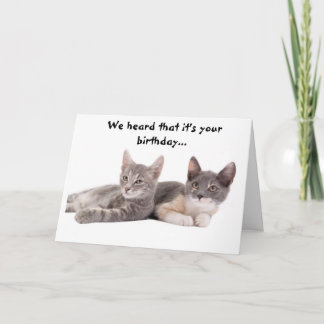 Funny Cat 'Give us Tuna' Geburtstagskarte Karte