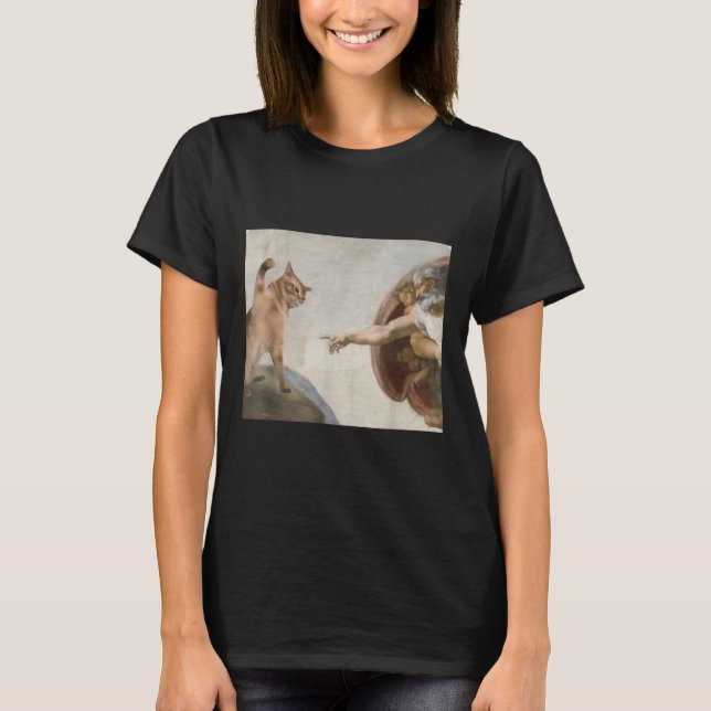 Funny Cat God Creation von Adam Meme Michelangelo  T-Shirt (Vorderseite)