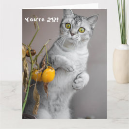 Funny Cat Happy 21. Geburtstagskarte Karte