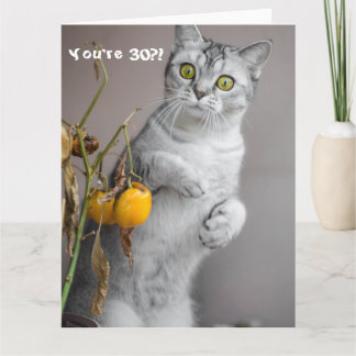 Funny Cat Happy 30. Geburtstag Karte