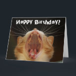 Funny Cat Happy Birthday Card Karte<br><div class="desc">Dieses Design zeigt ein lustiges Bild einer Katze! Ideal für besondere Anlässe wie Geburtstage,  Jubiläen und mehr. Wenn Sie das Design durch Ändern der Nachricht,  des Alters oder des Schriftartes personalisieren möchten,  klicken Sie auf "Design bearbeiten".</div>