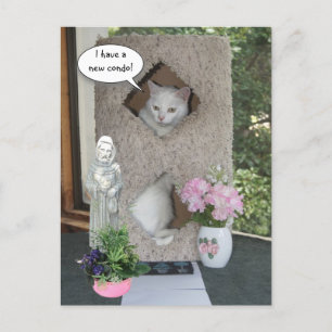 Funny Cat/ I ve Moved/New Address Ankündigungspostkarte