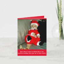 Funny Cat im Santa Anzug Christma Card