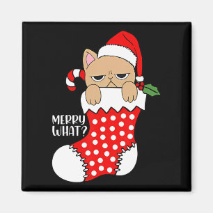 Funny Cat Im Strumpf Weihnachtskater Weihnachten W Magnet