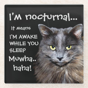 Funny Cat ist Nocturnal Evil Laugh  Glasuntersetzer