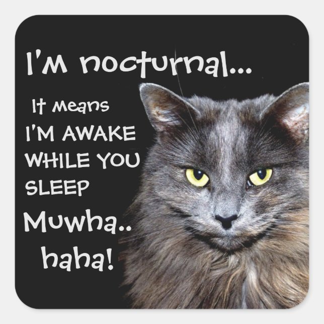 Funny Cat ist Nocturnal Evil Laugh Quadratischer Aufkleber (Vorderseite)