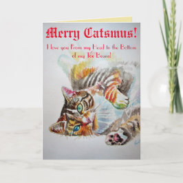 Funny Cat Katzen Liebe Toe Bohnen Frohe Weihnachts Karte