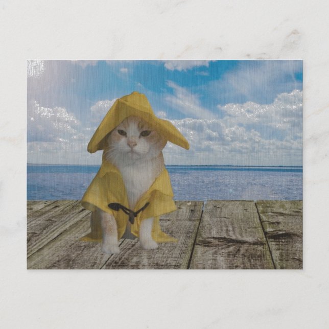 Funny Cat/Kitty in Yellow Slicker Postkarte (Vorderseite)