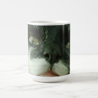 Funny Cat Kitty Pet Photo Kaffeetasse