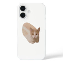 Funny Cat Loaf Meme Cat Bread Phone case