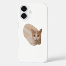 Funny Cat Loaf Meme Cat Bread Phone case