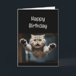 Funny Cat Lover Birthday Animal Karte<br><div class="desc">Funny Cat Lover Birthday Animal Spaß</div>