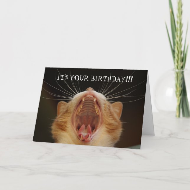 Funny Cat Lover Catty Birthday Card Karte (Vorderseite)