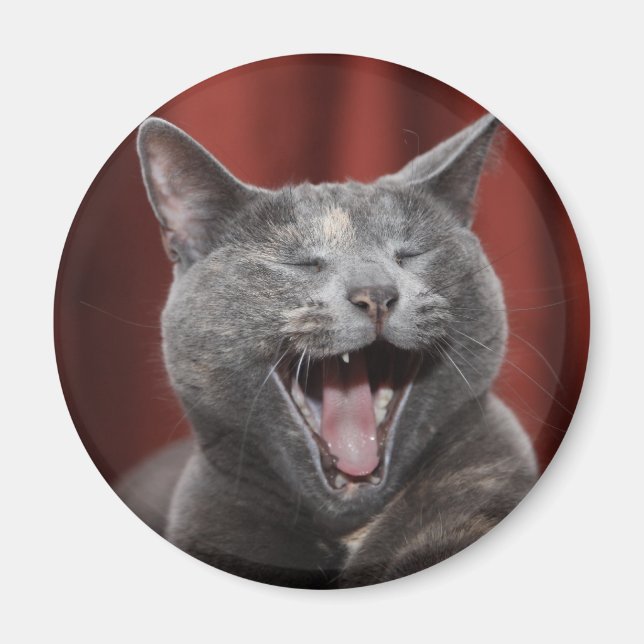 Funny Cat Magnet (Vorne)