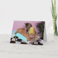 Funny Cat Massage Geburtstag