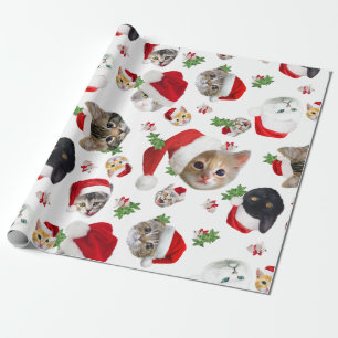 Funny Cat Maus und Catnip Geschenkpapier