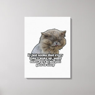 Funny Cat Meme für Kätzchenliebhaber und Katzenbes Leinwanddruck