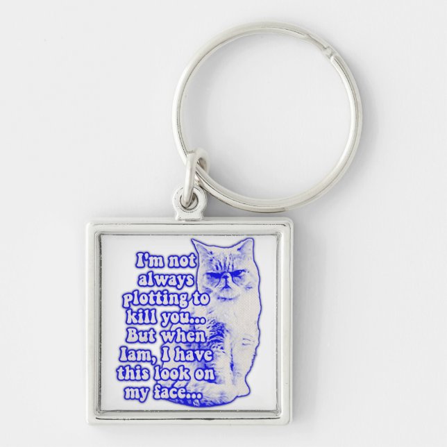 Funny Cat Meme für Katzenbesitzer und Kitesurfer Schlüsselanhänger (Vorne)