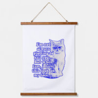Funny Cat Meme für Katzenbesitzer und Kitesurfer