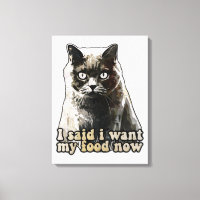 Funny Cat Meme für Katzenliebhaber und Kätzchenbes