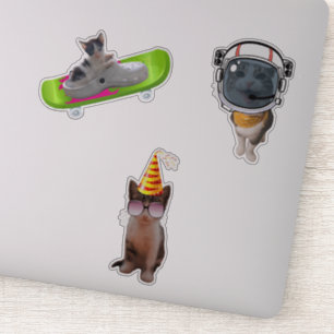 Funny Cat Memes Aufkleber