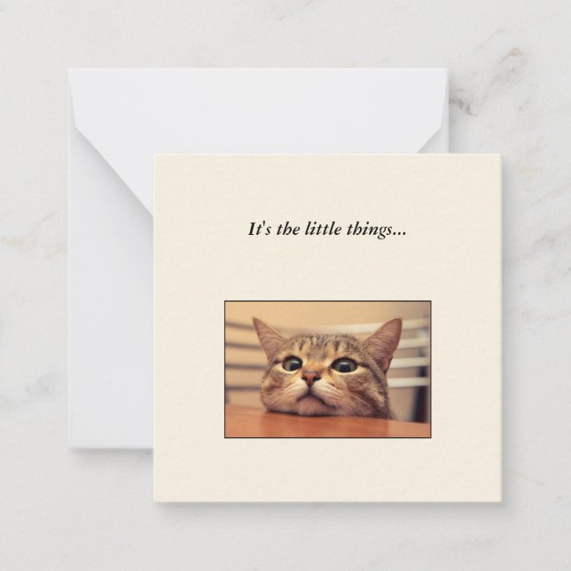 Funny Cat Mini Merci Carte de Note (Devant)