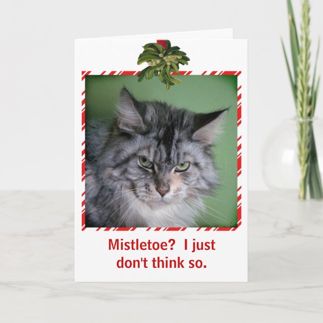 Funny Cat Mistletoe carte de voeux de Noël (Devant)