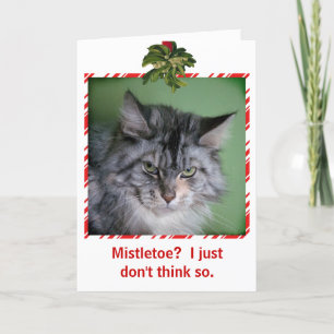 Funny Cat Mistletoe carte de voeux de Noël