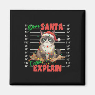 Funny Cat Mugshot Sehr geehrter Herr Santa I kann  Magnet