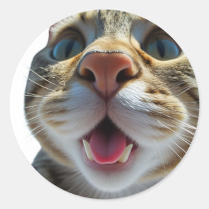 Funny Cat Nah-Up   Goofy Niedlich Chat Art Runder Aufkleber