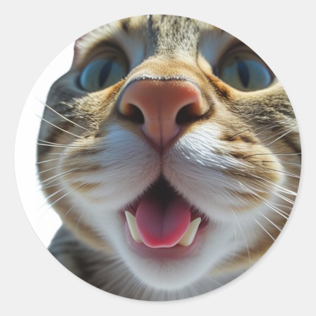 Funny Cat Nah-Up | Goofy Niedlich Chat Art Runder Aufkleber (Vorderseite)