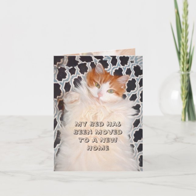 Funny Cat Niedlich Moving New Address Ankündigung (Vorderseite)