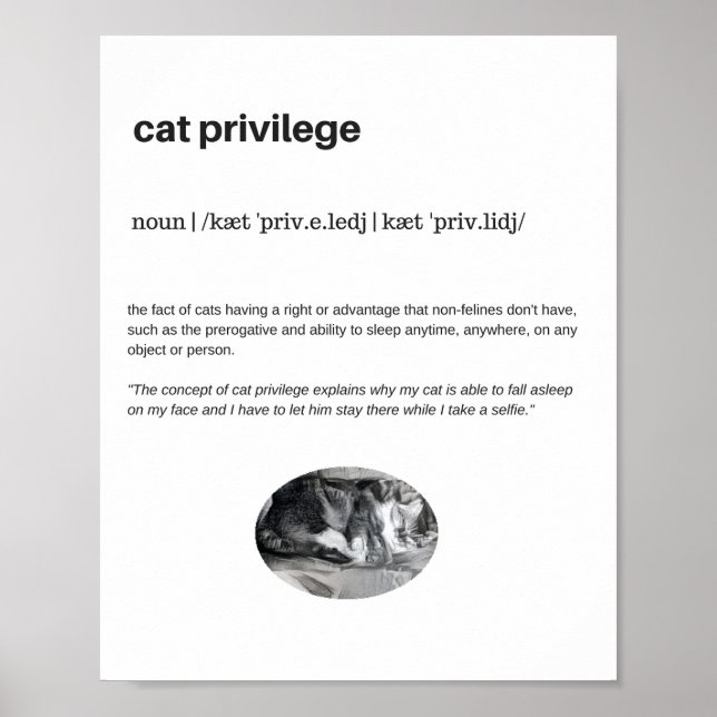 Funny Cat Privilege Slefie Plakatmatte Poster (Vorne)