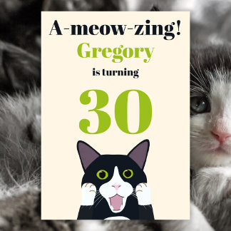 Funny Cat Pun 30. Party Einladung