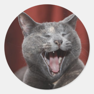 Funny Cat Runder Aufkleber