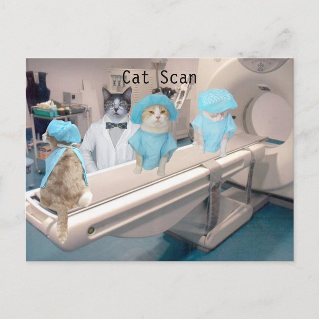 Funny Cat Scan Image Postkarte (Vorderseite)