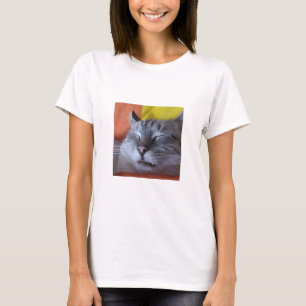 Funny Cat Schlafen Frauen T - Shirt