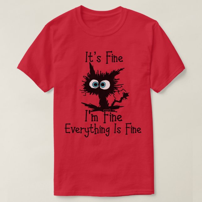 Funny Cat Seine Fine Im Fine Alles ist schön Itx2 T-Shirt (Design vorne)