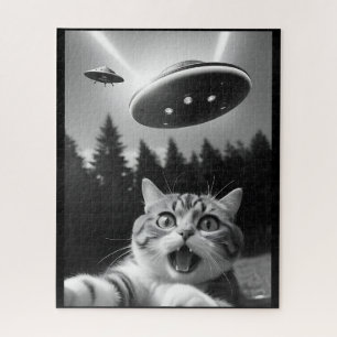 Funny Cat Selfie mit UFO Alien Drones