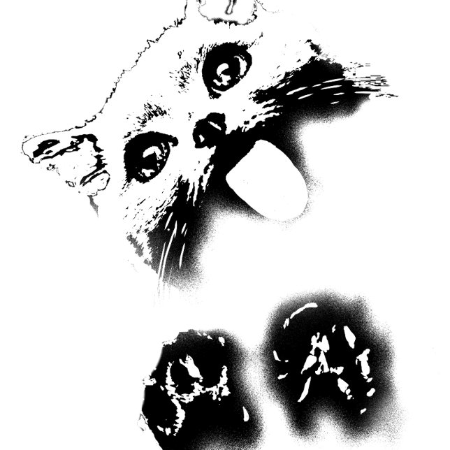 Funny Cat T-Shirt (Von Creator hochgeladen)