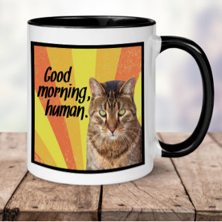 Funny Cat Tasse | Cat Foto Tasse mit lustigem Spri