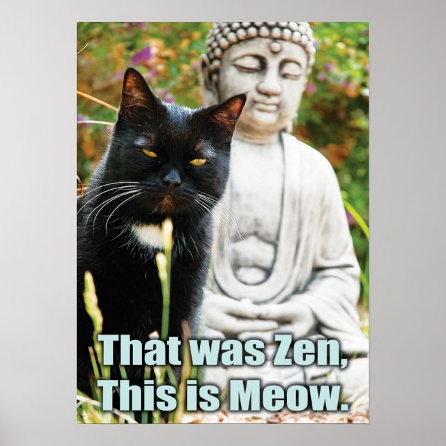 Funny Cat - That was zen, this is meow Poster (Vorne)