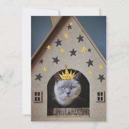 Funny Cat Wear Golden Glitzer Bling Crown