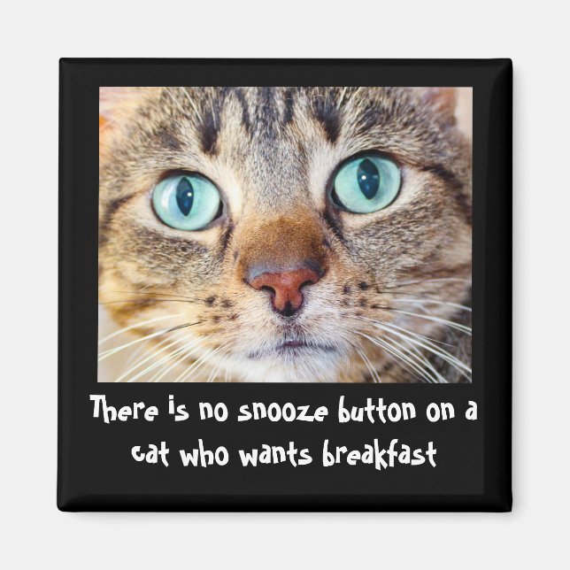 Funny Cat Will Food Magnet (Vorne)