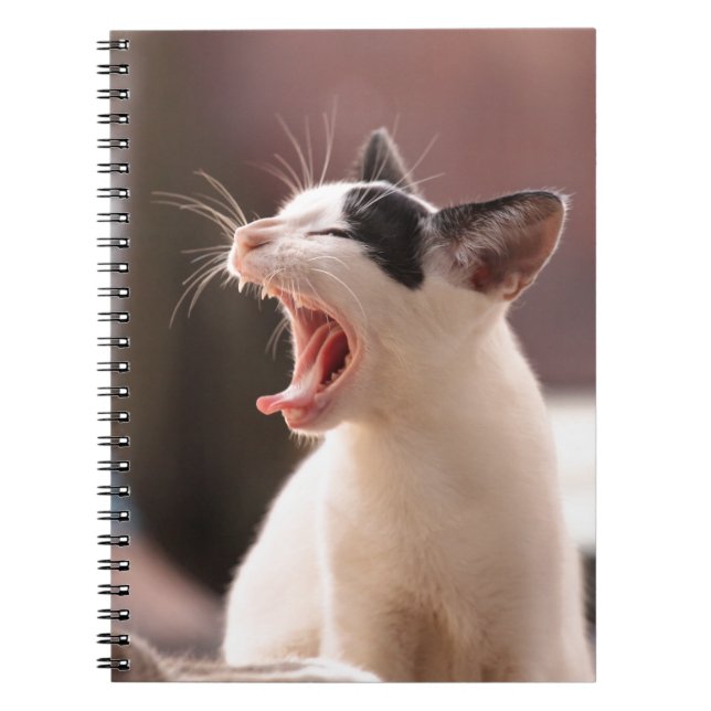 Funny Cat Yawning Notizblock (Vorderseite)