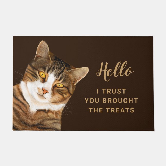 Funny Cat Zeichnend Brown Beige Fußmatte (Vorderseite)