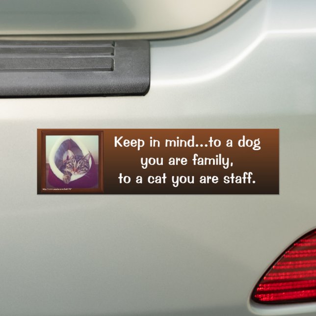 Funny Cat Zitat Tabby in einem Hüttenfoto Autoaufkleber (Auf Auto)