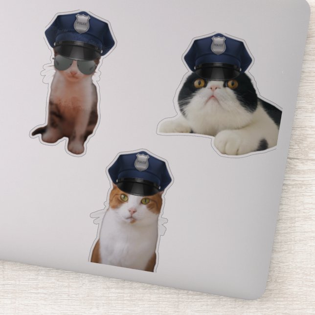 Funny Cats Aufkleber (Detail)