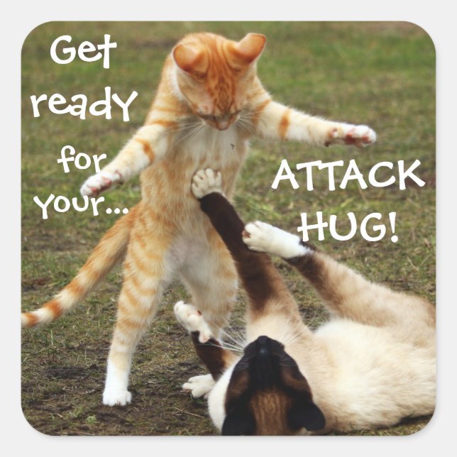 Funny Cats Capack Attack Hug Quadratischer Aufkleber (Vorderseite)